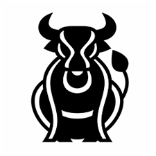 спортивная одежда bull