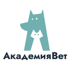 ветеринарная клиника