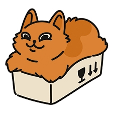 кошачий приют