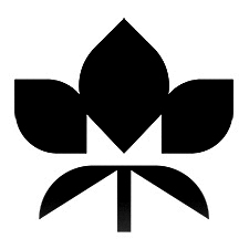 замороженые ягоды