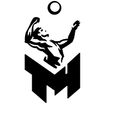 волейбольные тренеры т4