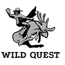 экстрим-туры