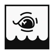 парусный клуб «белый кит»