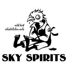 птичий рехаб