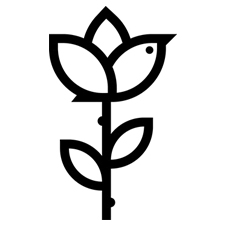 птичий рехаб