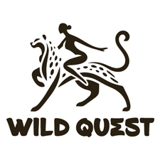 экстрим-туры