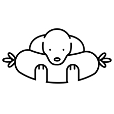 собачий корм