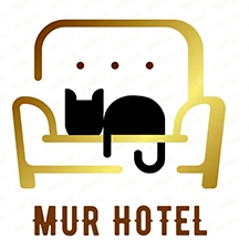 передержка