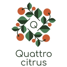 фруктовая лавка