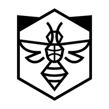 баскетбольная академия